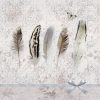 Pastel Colour Feathers Decoupage Napkin