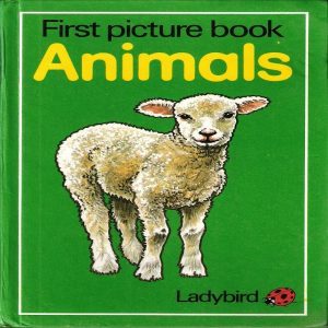 First Picture Book Animals by  Mike Nicholls