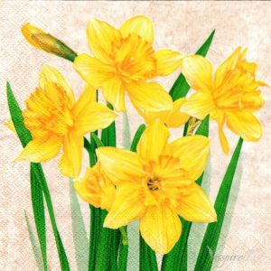 Bunches Of Yellow Daffodils Decoupage Napkin