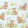 Lovely Bunnies In Blue Background Garden Decoupage Napkin