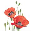 Orange Poppies Decoupage Napkin