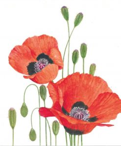 Orange Poppies Decoupage Napkin