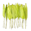 Craft Artificial Small Line Type Leaf Style - Parrot Green- LBB02