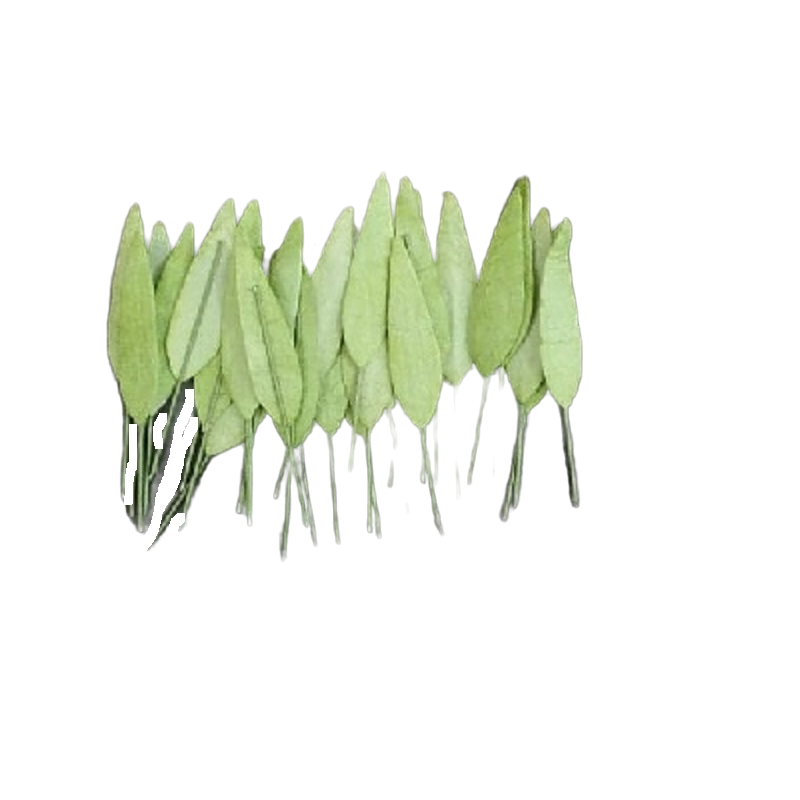 Craft Artificial Small Line Type Leaf Style - Green- LBB02
