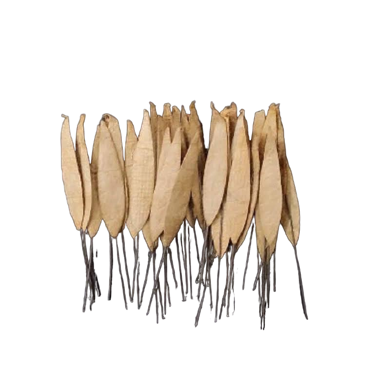 Craft Artificial Small Line Type Leaf Style - Brown- LBB03