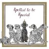 Spotted To Be Special Decoupage Napkin