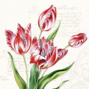 Red Printed Tulip Flower Decoupage Napkin