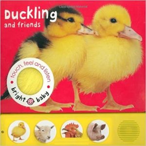 Touch Feel and Listen Duckling and Friends