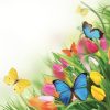Yellow Tulips And Mixed Butterflies Decoupage Napkin