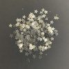 Sliver Star Sequins