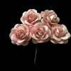 Mulberry Flowers - Light Peach
