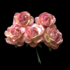 Mulberry Flowers - Pink