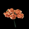 Mulberry Flowers - Light Orange