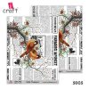 iCraft  Insta Transfers
