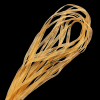 Organza Ribbon - Light Brown