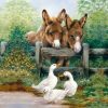 Donkey And Duck In Garden Decoupage Napkin
