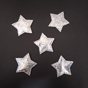 Silver Star Applique