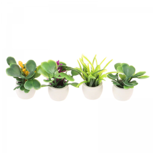 Miniature Flower Pots
