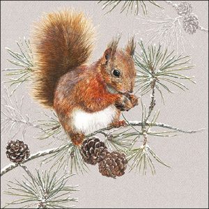 Squirrel In Winter Decoupage Napkin