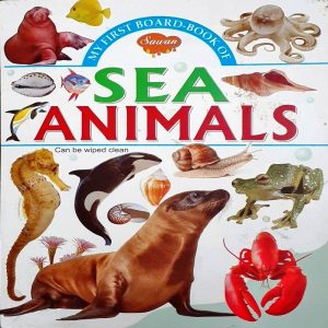 My First Board Book of Sea Animals by manoj publications