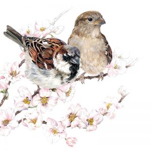 Sparrows Blossom Decoupage Napkin