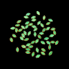 Ellipse Kundan Stones – Parrot Green