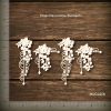 Vines Decorative Elements Mudra Chipzeb