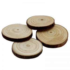 Natural Wooden Slice 3-4 cm