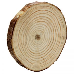 Natural Wooden Slice 8 cm