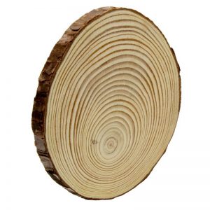 Natural Wooden Slice 10 cm