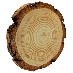 Natural Wooden Slice 15 cm