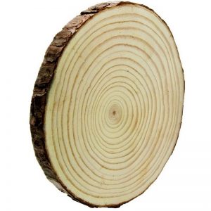 Natural Wooden Slice 18 -22 cm