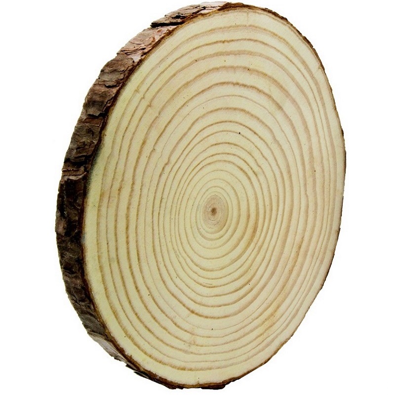 Natural Wood Slices - 18