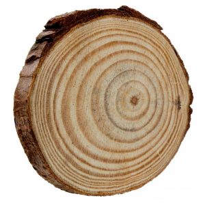 Natural Wooden Slice 7 cm