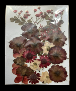Dried Flowers