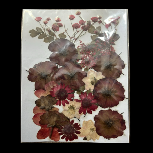 Dried Flowers