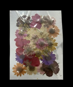 Dried Flowers