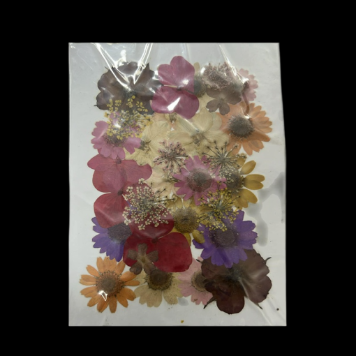 Dried Flowers