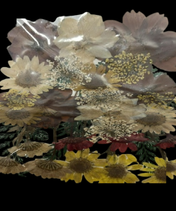 Dried Flowers
