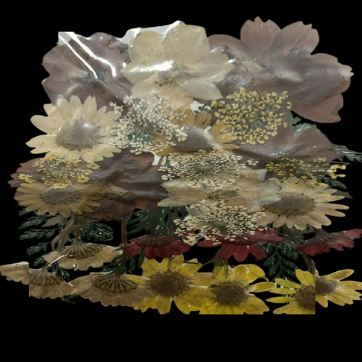 Dried Flowers