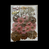Dried Flowers