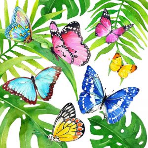 Tropical Butterflies Decoupage Napkin