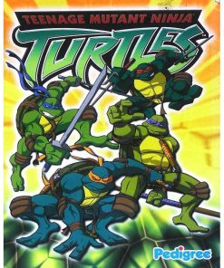 Ninja Turtles Annual by Anon