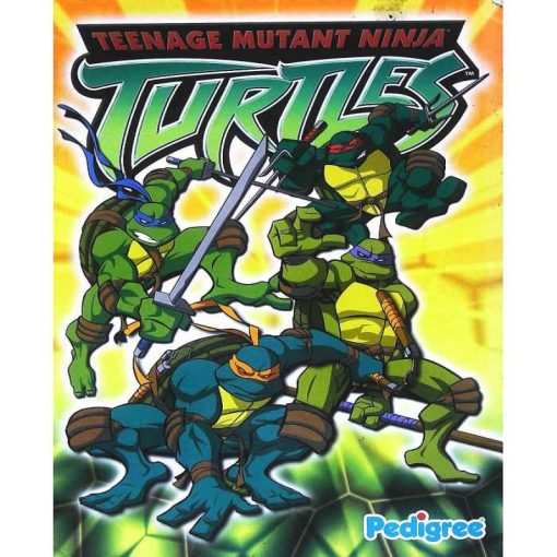 Ninja Turtles Annual by Anon