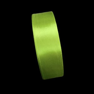 Light Green Satin Ribbon 25 mm