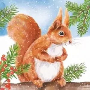 Squirrel In Winter Decoupage Napkin