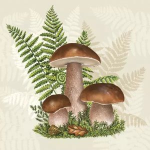 Mushroom With Leaves Decoupage Napkin