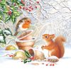 A Robin With Squirrel Decoupage Napkin