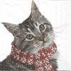 Black Cat Decoupage Napkin