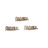 MDF Celebration Words Embellishment